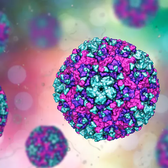 Coxsackievirus B : A Common But Potentially Dangerous Virus